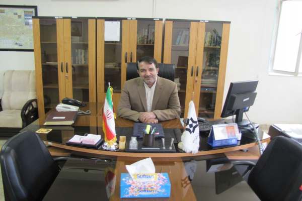 پرداخت-عمده-مطالبات-گندمکاران-استان-زنجان-از-هفته-آینده-آغاز-میشود