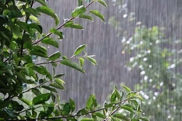 بارش-باران-و-کاهش-نسبی-دما-در-۷-استان