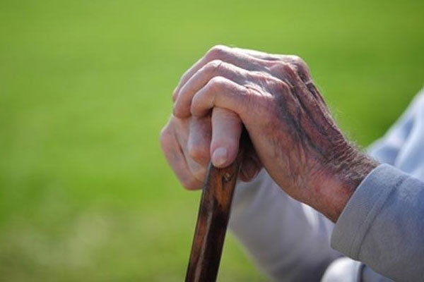 سالمندان-قیداری-راههای-پیشگیری-از-معلولیت-را-فرا-می-گیرند