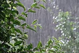 پیش‌بینی-بارش‌های-پراکنده-در-سطح-استان-زنجان-