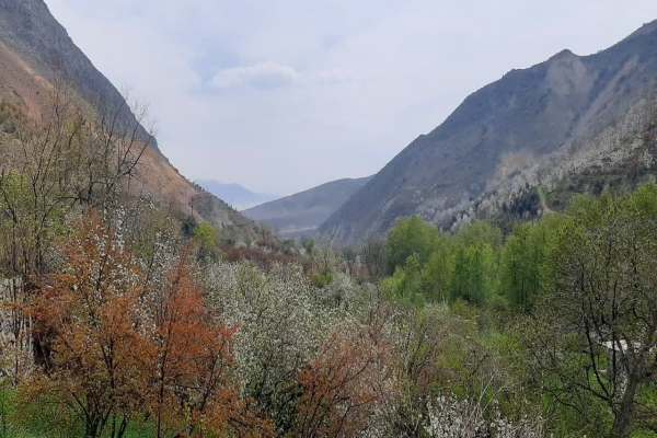 گزارش-تصویری؛-جلوهگری-بهار-در-هندوستان-ایران-