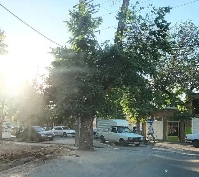 میراث-سبز-زنده-بمان