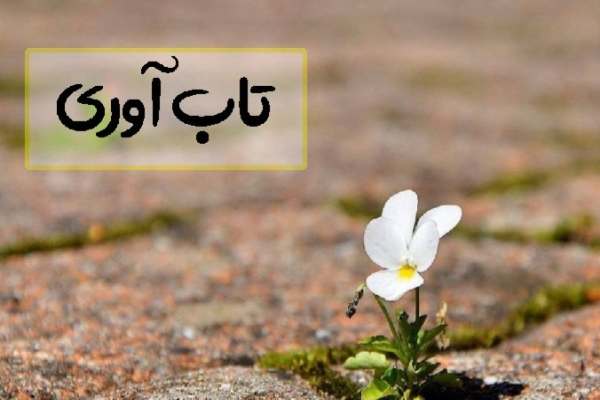 تابآوری-راهی-به-موفقیت-