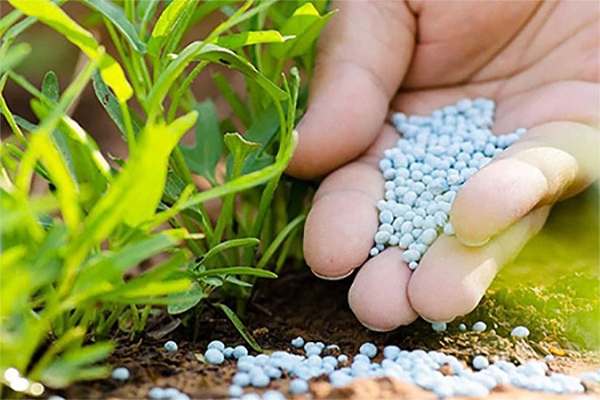 با-پیگیری-موجرسا-به-نتیجه-رسید