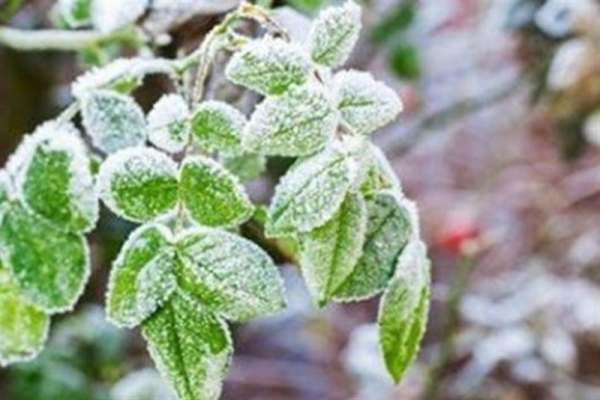 یخبندان-زنجان-را-فرا-میگیرد-