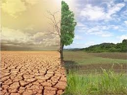 نفسهای-آب-زنجان-به-شماره-افتاده-است