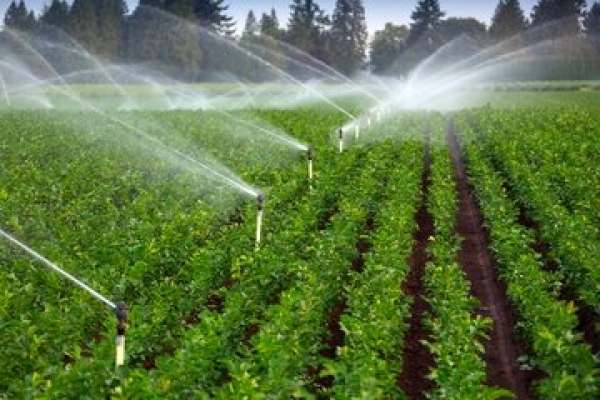 تجهیز-اراضی-آبی-سلطانیه-به-سامانههای-نوین-