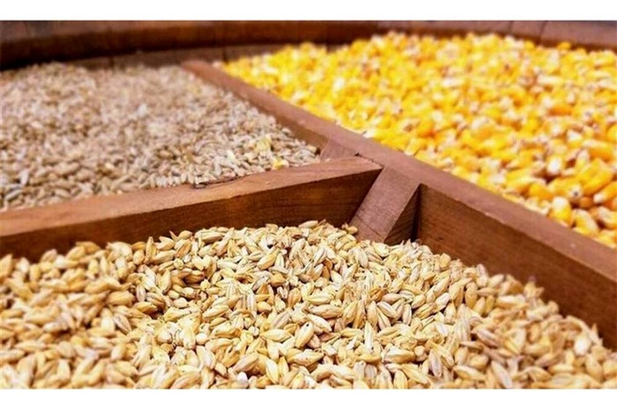 بازارگاه-راهگشای-تامین-نهادههای-مرغداران