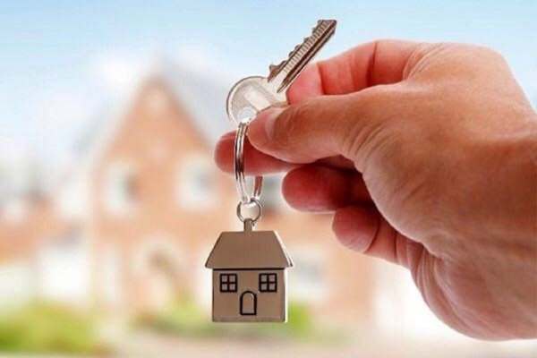 طارمیها-در-انتظار-خانهدار-شدن
