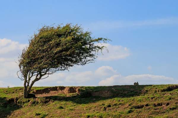 وزش-باد-شدید-زنجان-را-فرا-میگیرد