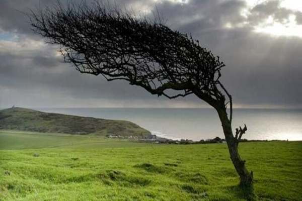وزش-باد-شدید-زنجان-را-فرا-میگیرد-