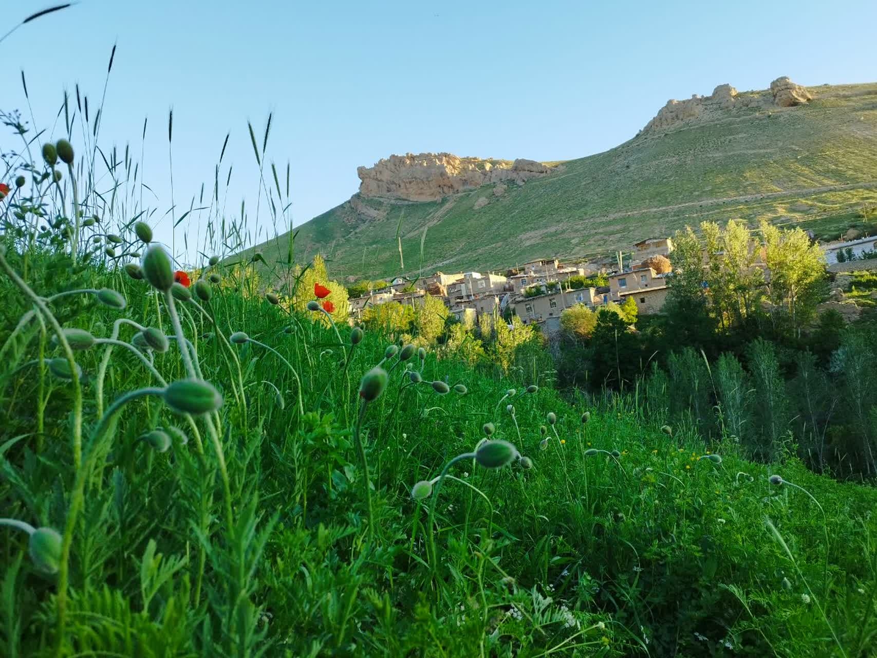ییلاقات-زیبای-روستای-یاستیقلعه-ماهنشان-