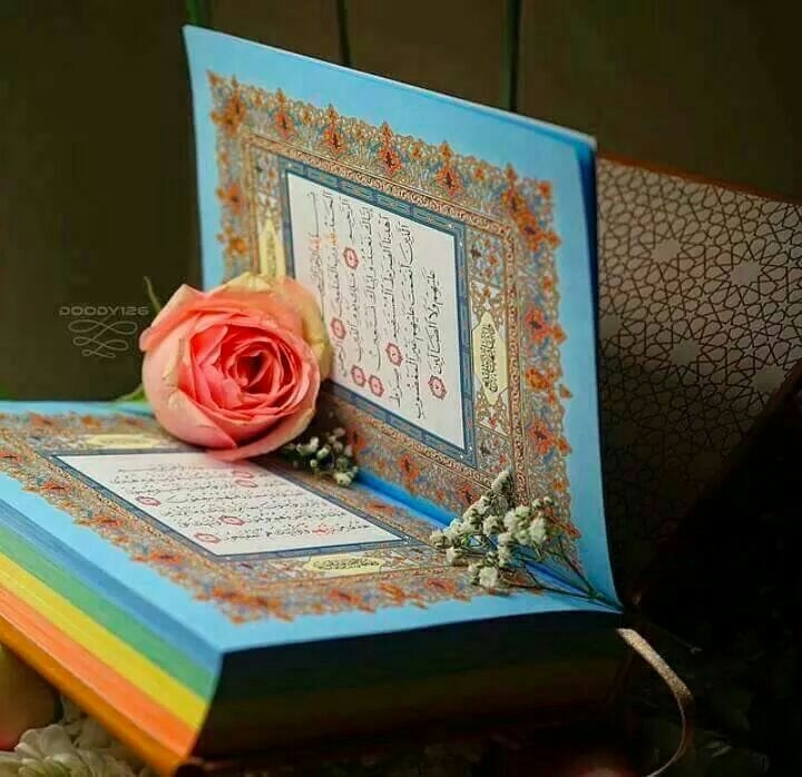 هر-روز-یک-صفحه-قرآن-بخوانیم+صوت-