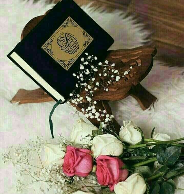 هر-روز-یک-صفحه-قرآن-بخوانیم+صوت-