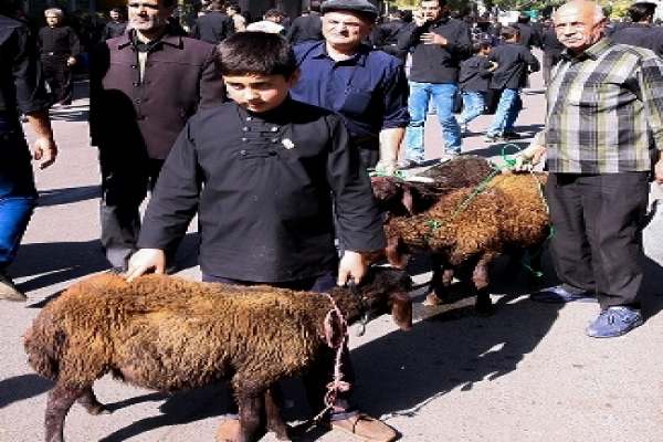 دامپزشکی-بر-ذبح-دام-در-یومالعباس-نظارت-میکند