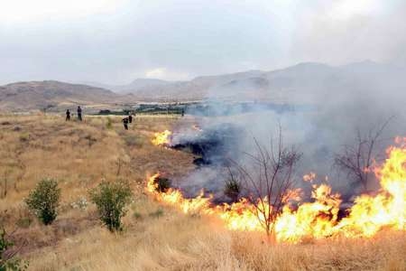مراتع-ماهنشان-در-خطر-آتشسوزی