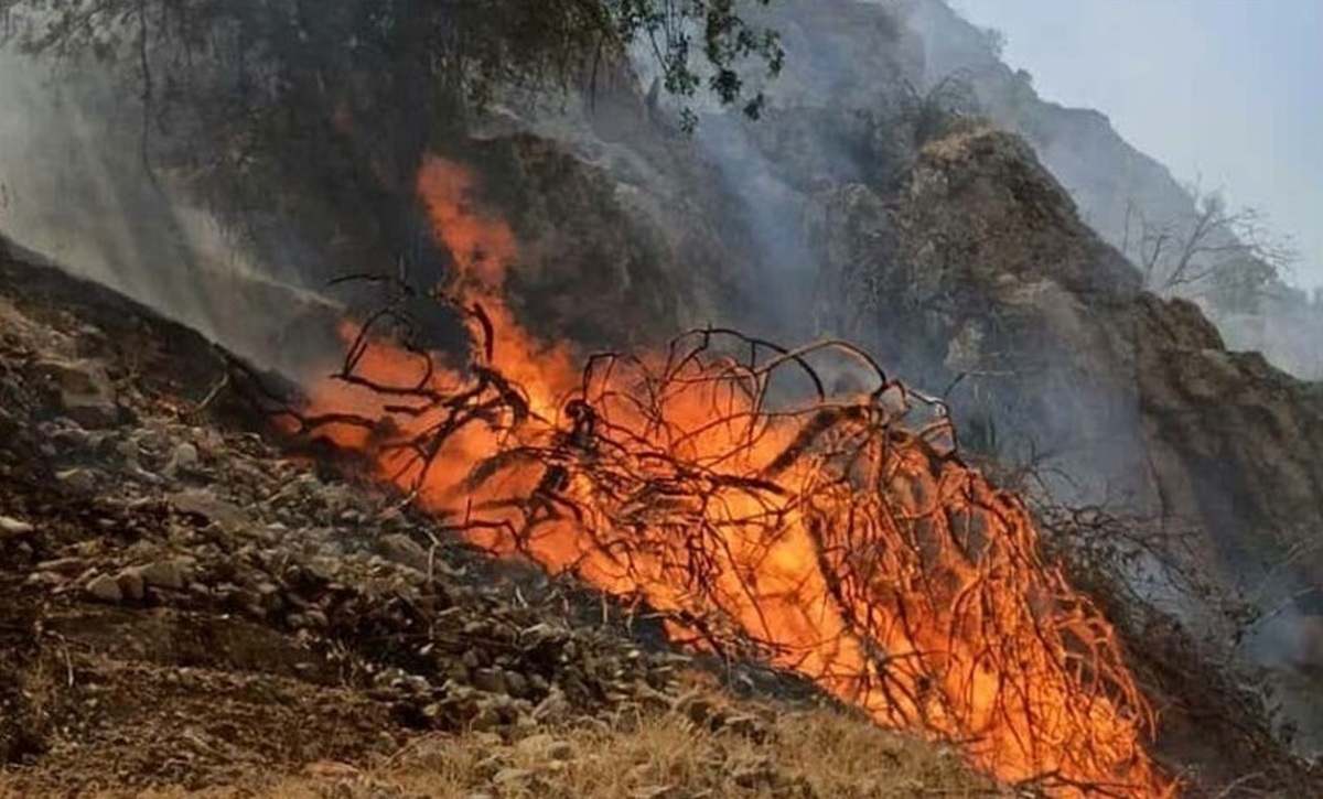 آتشسوزی-در-مناطق-حفاظتشده-ماهنشان