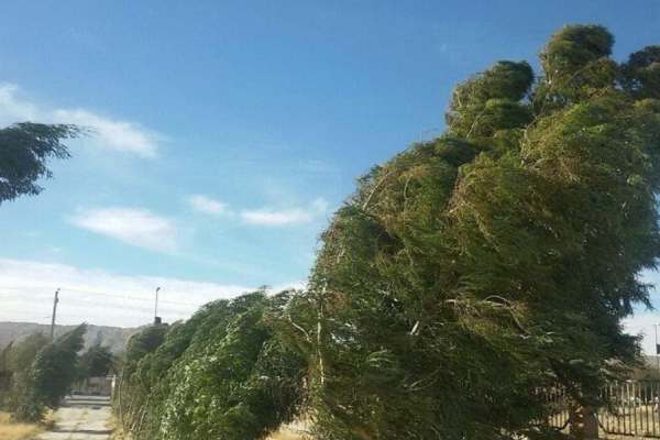 وزش-باد-زنجان-را-فرا-میگیرد-