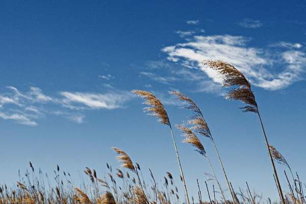 وزش-باد-شدید-زنجان-را-فرا-میگیرد-