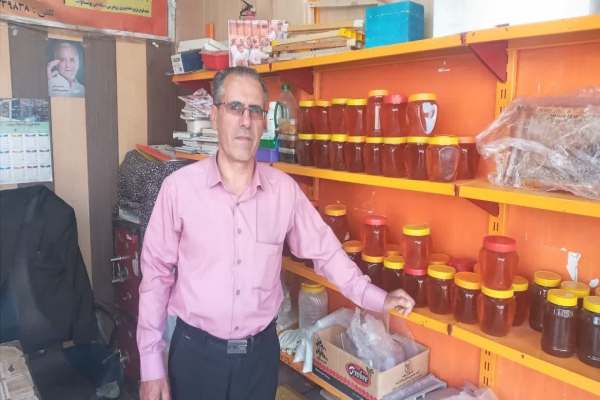 عدم-نظارت-مهمترین-مشکل-زنبورداری-است