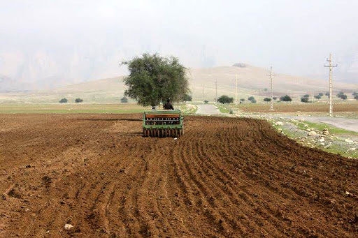 آغاز-کشت-پاییزه-گندم-در-ابهر