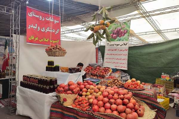 اولین-جشنواره-میوههای-بهشتی-در-طارم-برگزار-شد