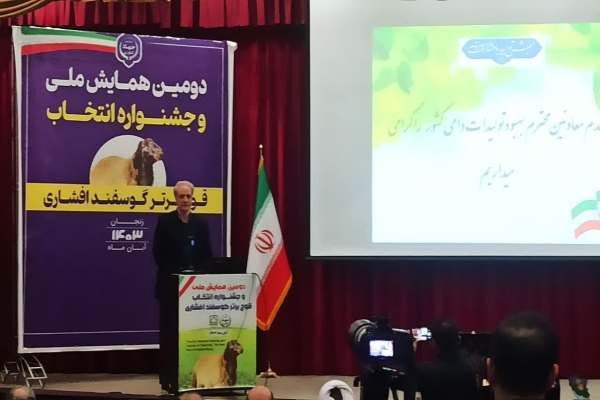 اصلاح-نژاد-دامها-در-اولویت-باشد-