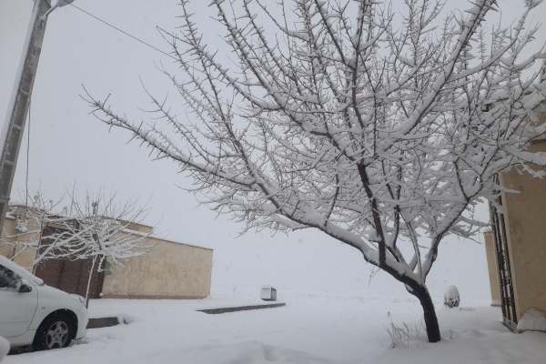 بارش-زیبای-برف-در-زنجان-