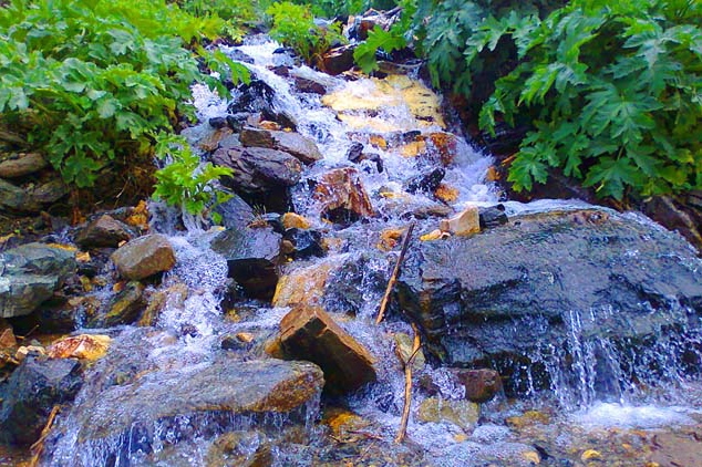 طبیعت-زیبای-منطقه-قارقالان-ماهنشان