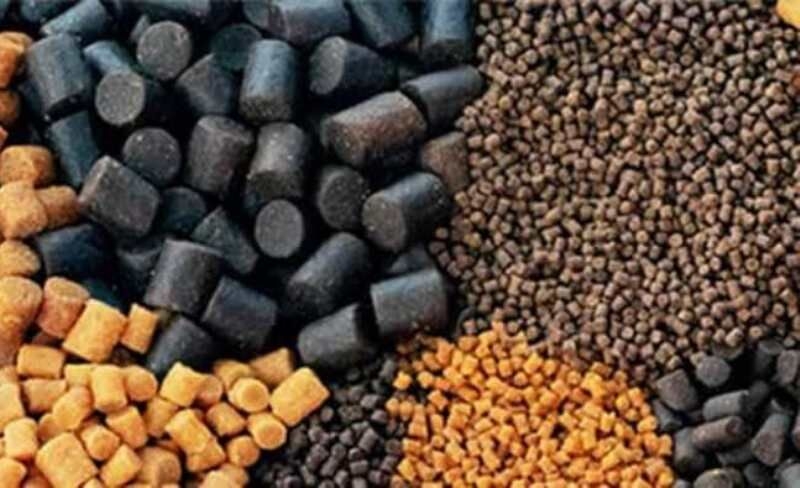 کارخانه-تولید-خوراک-آبزیان-ماهنشان-فعال-است