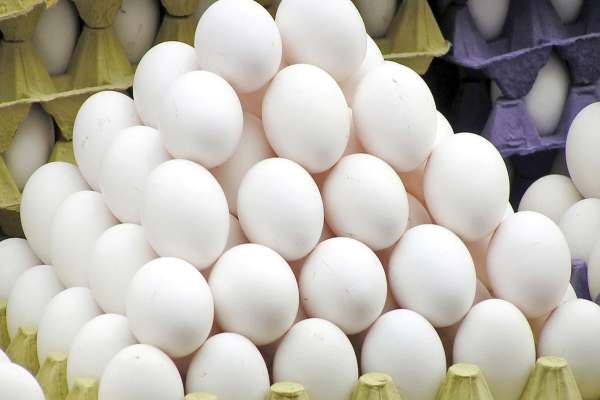 قیمت-تخممرغ-در-زنجان-تعیین-شد-