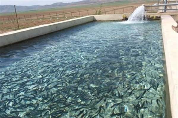 لزوم-توسعه-صنعت-آبزیپروی-در-زنجان