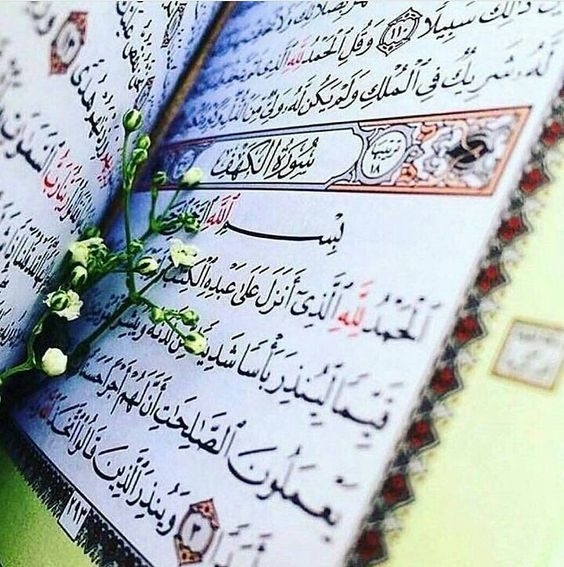 هر-روز-یک-صفحه-قرآن-بخوانیم-