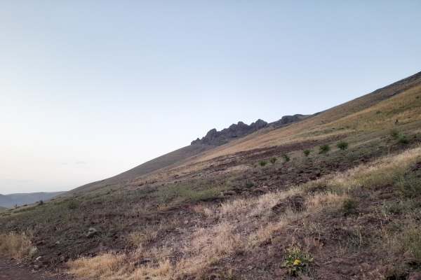 دهنکجی-متصرفان-به-محیط-زیست