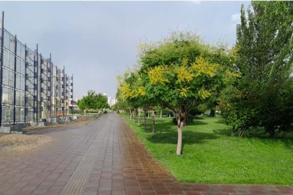 افزوده-شدن-یک-هکتار-به-مساحت-پارکهای-زنجان
