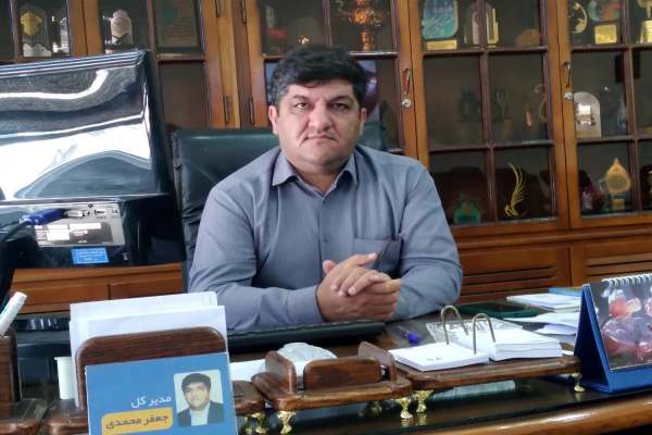 سینما-بدون-تماشاگر-معنا-ندارد-