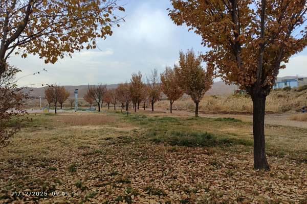 خزان-تماشایی-ماهنشان