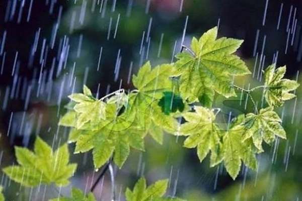 احتمال-رگبار-و-رعد-و-برق-در-زنجان-