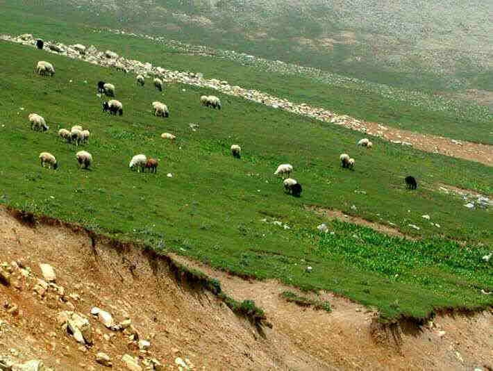 ساماندهی-جامع-اراضی-ملی-در-شهرستان-ماهنشان