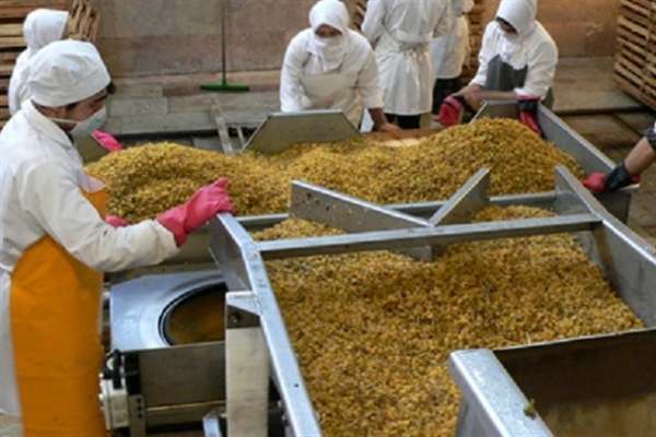 کارآفرینی-در-سایه-صنایع-تبدیلی-در-خدابنده