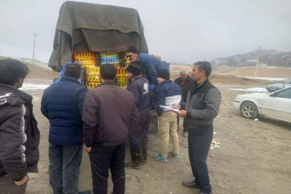 گامی-مؤثر-برای-اشتغال-روستایی-در-انگوران
