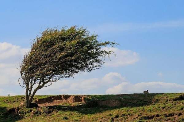 -افزایش-سرعت-باد-در-زنجان