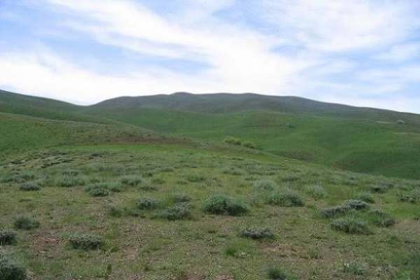 مراتع-ابهر،-۴۰-درصد-شهرستان-را-پوشش-می‌دهد