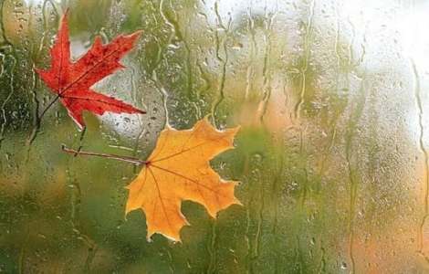 >کارشناس پیش‌بینی اداره‌کل هواشناسی استان زنجان:
